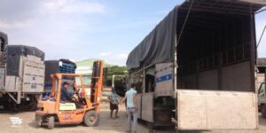 chanh xe da nang sai gon