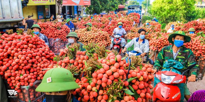 chanh xe di bac giang tu sai gon mat bao lau