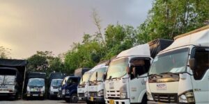 chanh xe tphcm di ha noi bao nhieu tien