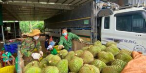 cac hinh thuc van chuyen hang trai cay bac nam
