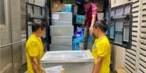 goi y don vi chuyen nha ha noi sai gon