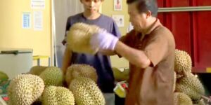 chi phi gui sau rieng tu nam ra bac