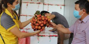 thoi gian chi phi gui hoa qua qua buu dien