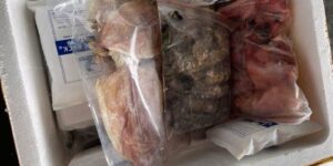 cac mat hang dong lanh gui duoc khong gui duoc di ha noi tu sai gon