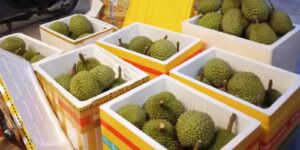 cach dong boc gui thuc pham vao sai gon