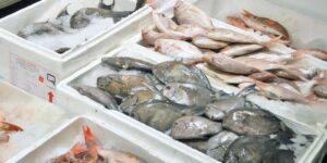 cach dong goi hai san gui sai gon ra ha noi