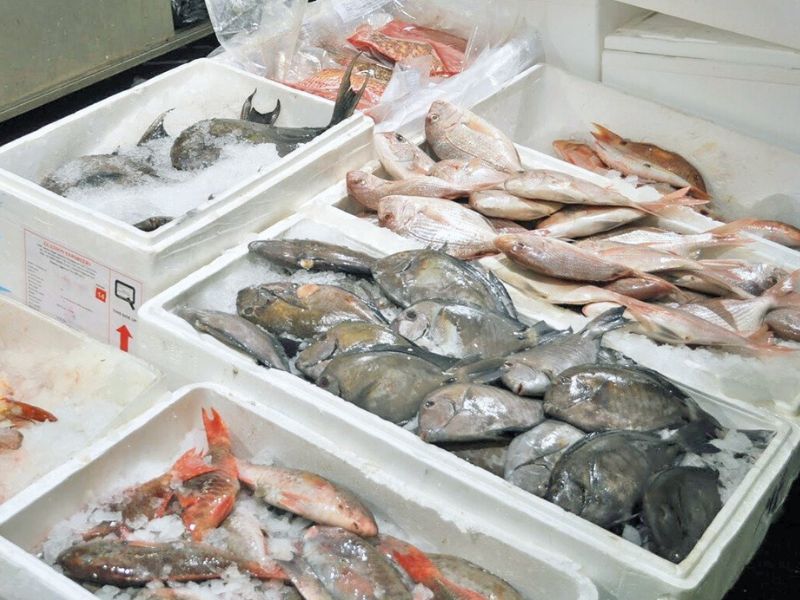 cach dong goi hai san gui sai gon ra ha noi