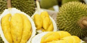 gui sau rieng qua viettel post duoc khong