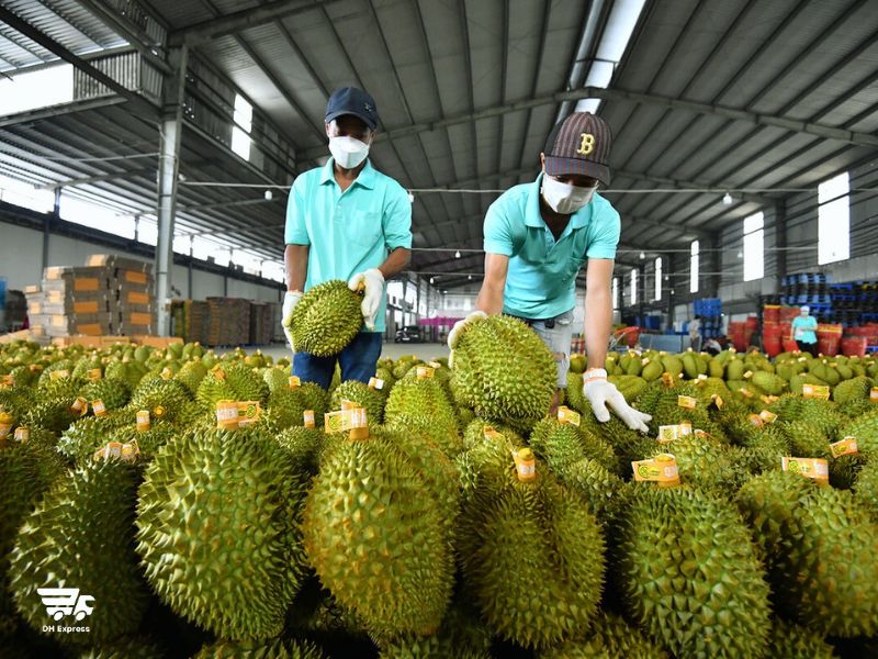 nen chon hinh thuc nao neu muon gui sau rieng