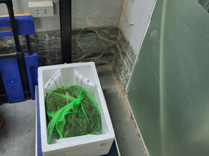 nen gui hai san sai gon ha noi trong thoi gian bao lau