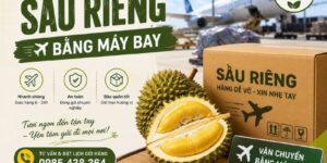 khi nao nen gui sau rieng bang may bay
